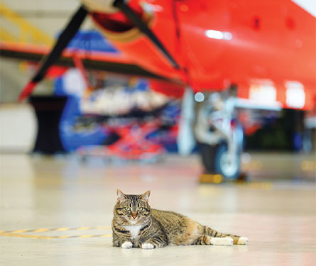/Media/Ornge/Images/Meet-Zulu-Thumb-vertical3.jpg