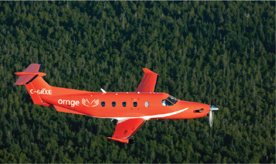 un avion orange survolant une forêt