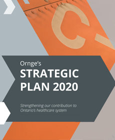 An image of the cover page of the Strategic Plan 2020 publication