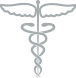 A line drawing of a medical symbol